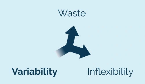 CSI Business Consulting-Variability