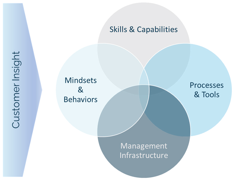 CSI Business Consulting-Customer insight-5 dimensions we analyse in an organisation