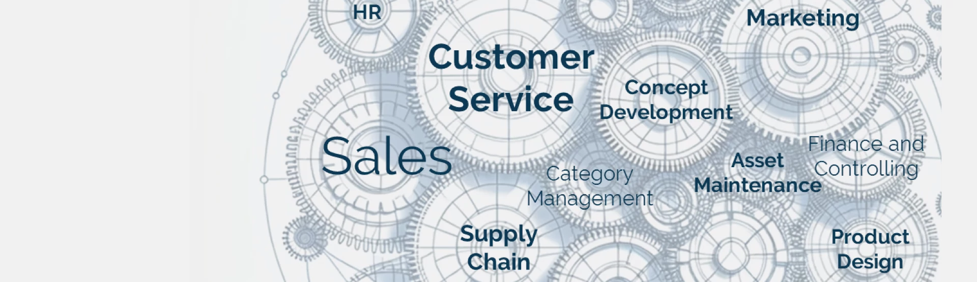 CSI Business Consulting-functions